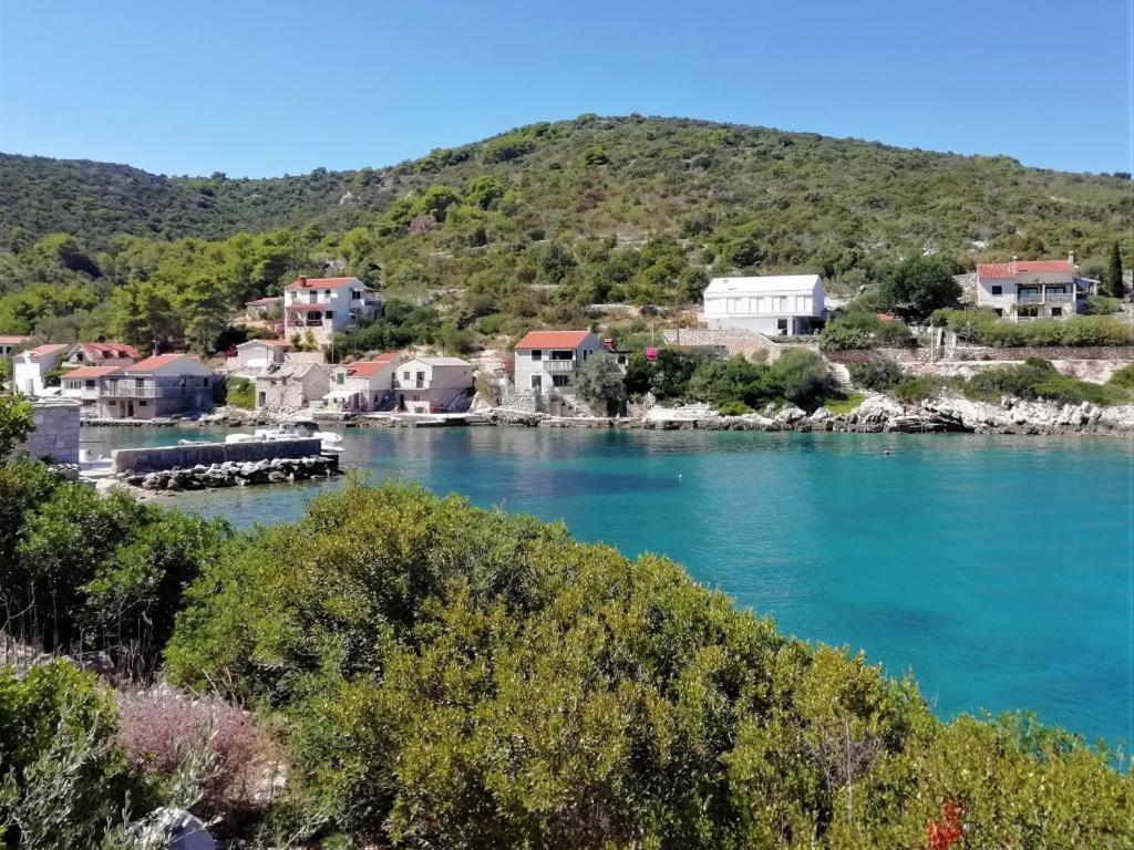 Apartment Zalo Donje Selo na Solti Luaran gambar